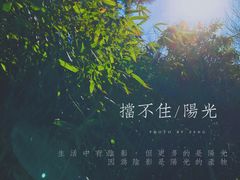 -丰台科技园生态主题公园