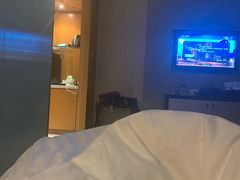 -成都明宇丽雅饭店
