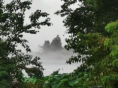 -东湖落雁景区