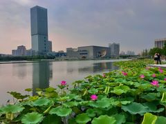 -嘉定凯悦·咖啡厅