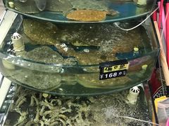 -烁佳海鲜大馅饺子