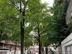 -四川大学(望江校区)