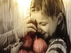 -麦当劳(阳朔益田西街店)