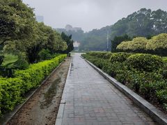 -南沙蒲洲花园