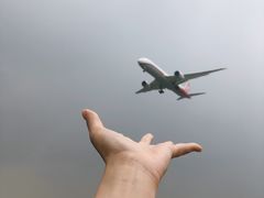 -空港花田景区