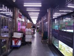 -中环花鸟鱼虫市场