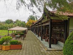 -巴山·烤全羊(高新总店)