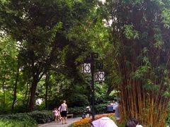 -成都市活水公园