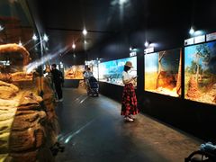 -费瑟代尔野生动物园