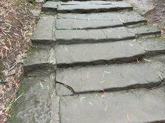 -缙云山景区