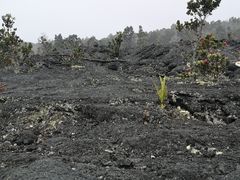-夏威夷火山国家公园