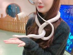 -藦茜花园宠物主题亲子互动体验馆(国顺东路店)