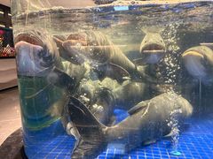 -高佳庄·海鲜酒楼(定海店)