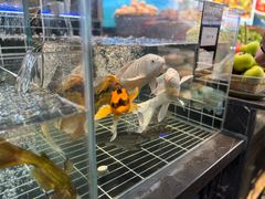 -丁哥·庐味鲜 土菜·20年老字号(世纪阳光花园店)