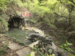 -宁波市保国寺古建筑博物馆