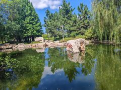 -羊亭河湿地公园