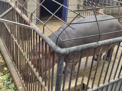 -昆明动物园