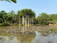 -中国科学院西双版纳热带植物园
