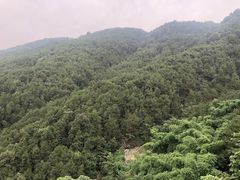 -铁山坪森林公园