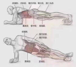 -卡莫瑜伽·普拉提