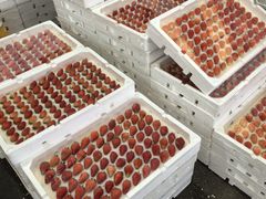 -西郊国际农产品交易中心