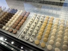 -BLACKSWAN黑天鹅(环球店)