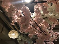 -善水温泉·汗蒸·SPA·生活会馆(桑田路店)