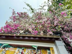 -深圳国际园林花卉博览园