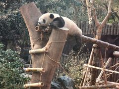 -杭州野生动物世界