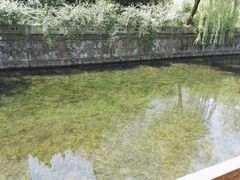 -兰溪青年公园