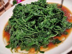 -席家花园(巨鹿花园店)