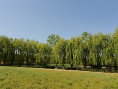 -东坝千亩湖公园