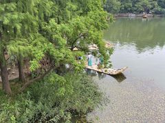 -东湖落雁景区