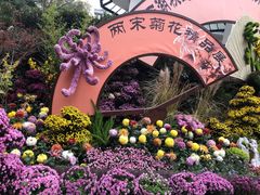 -杭州植物园