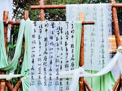 -十亩森林