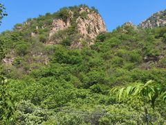 -大岭沟猕猴桃谷风景区