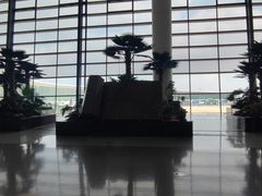 -郑州新郑国际机场-T2航站楼