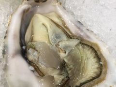 -东江海鲜酒家(客村店)