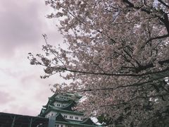 -名古屋城