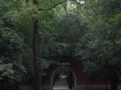 -灵谷景区