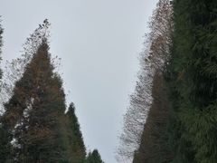 -山王坪喀斯特国家生态公园