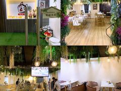 -Husky Go! 哈士奇体验馆·宠物咖啡厅狗咖