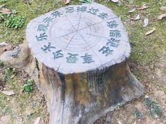 -菊花台公园