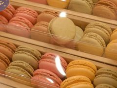 -Bakery(成都IFS国际金融中心店)