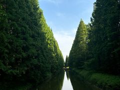 -黄海国家森林公园