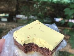 -蔺大妈松花糕