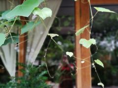 -时光花园(白鹭洲店)