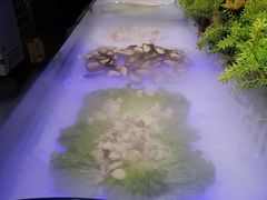 -巴犀烧烤(新崇光店)