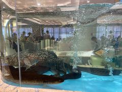 -御和宴·精品粤菜(天润御海湾店)