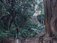 -南岗山公园